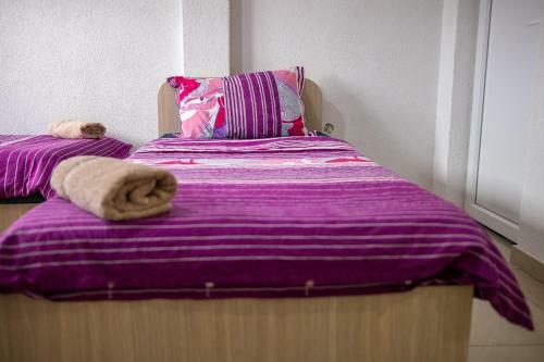 Apartments Gjoce