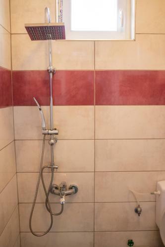 Apartments Gjoce