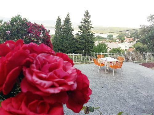 Villa Vila Mitko