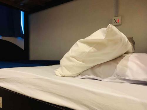 Hostal Cookoobird Home