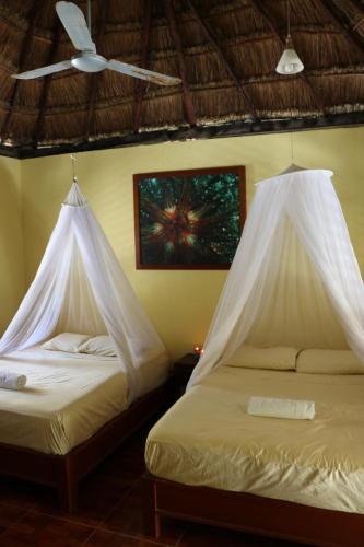 Hotel & Caba�as Zazil Kin Tulum
