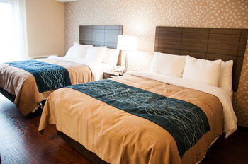 Hotel Comfort Inn