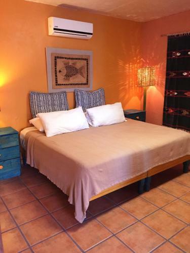 Hostal Leo's Baja Oasis