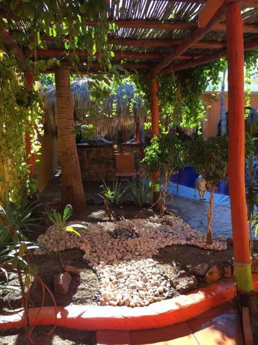 Hostal Leo's Baja Oasis