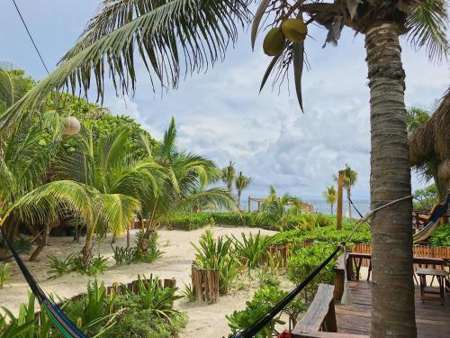 Hotel Villa Pescadores By Ahau Collection