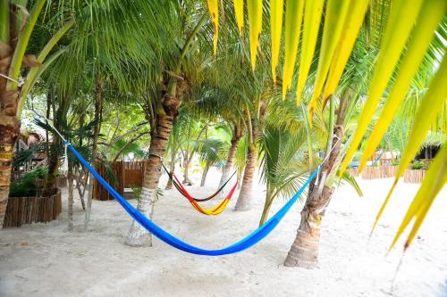 Hotel Villa Pescadores By Ahau Collection