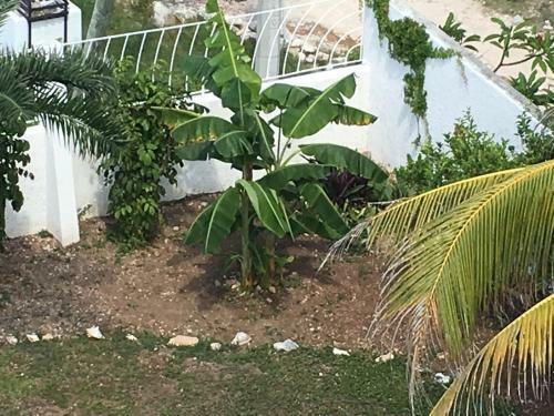 Apartamento Casa Pastel 2