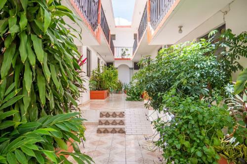 Oyo Hotel Arena Surf, Puerto Escondido