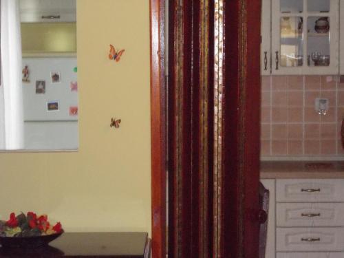 Apartment Jelaca