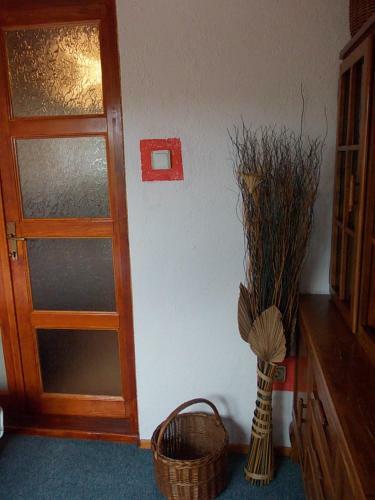 Apartment Jelaca