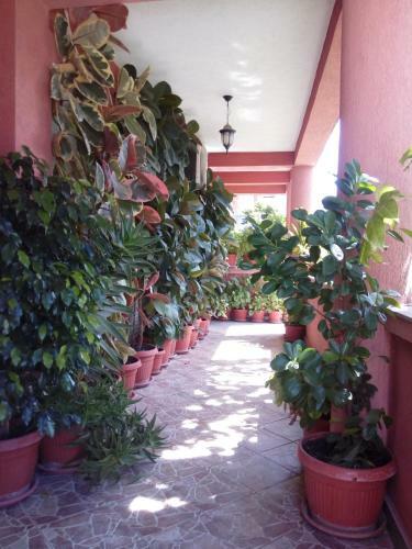 Holiday Home Monte