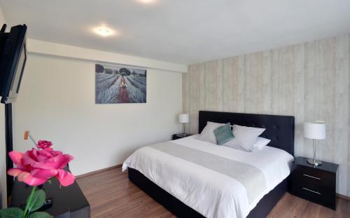 Apartamento Suites Cicer�n