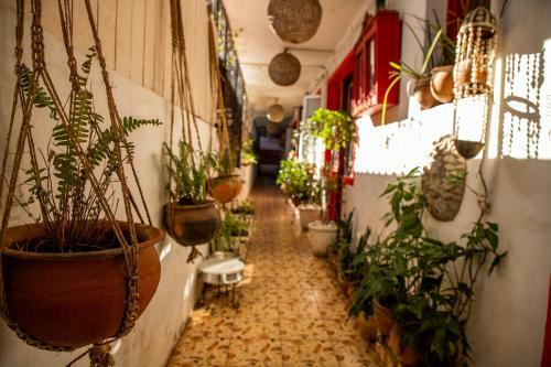Albergue Malagueta Inn