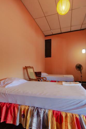 Albergue Hostal Lazybones