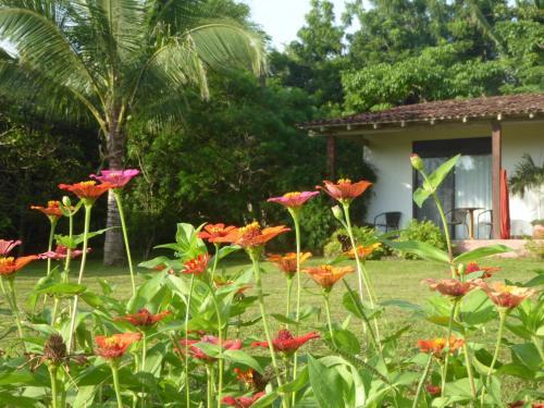 Bed & Breakfast La Rosa De Los Vientos