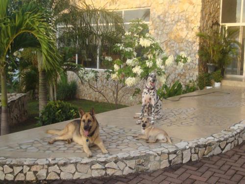 Apartamento Annsrental
