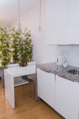 Modern Apartments