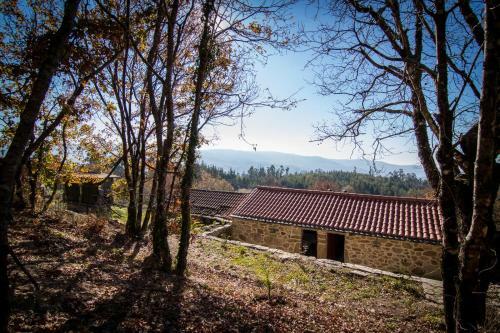 Casas Dos Avos