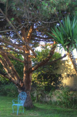 Albergue Be My Guest Ericeira