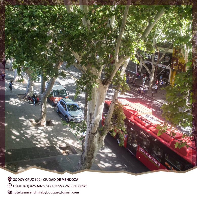 Hotel Sol Andino