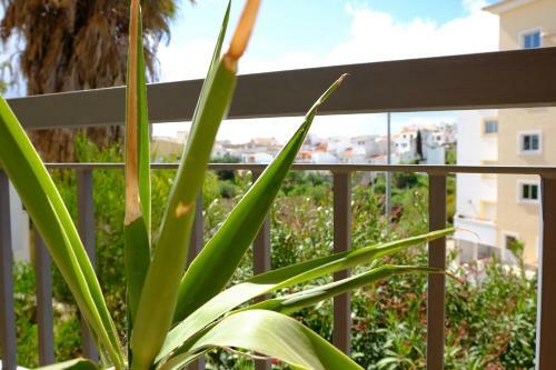 Algarve Surf Hostel - Lagos