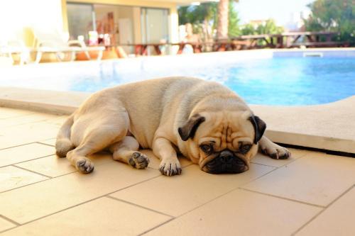Algarve Surf Hostel - Lagos