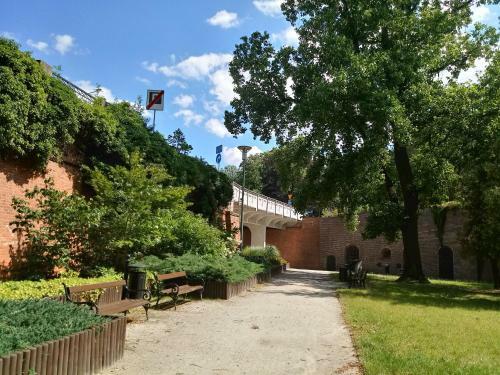 Apartament W G?ogowie