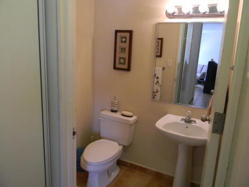 Apartamento A Relaxing Beachfront Property