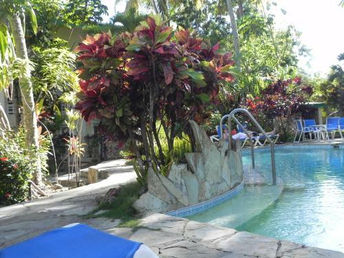 Apartamento Albatros Cabarete