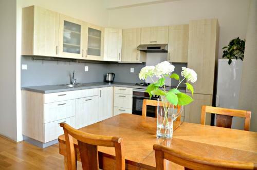 Apartmansisi