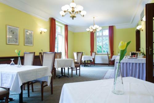 Hotel Villa Ostrava 3+