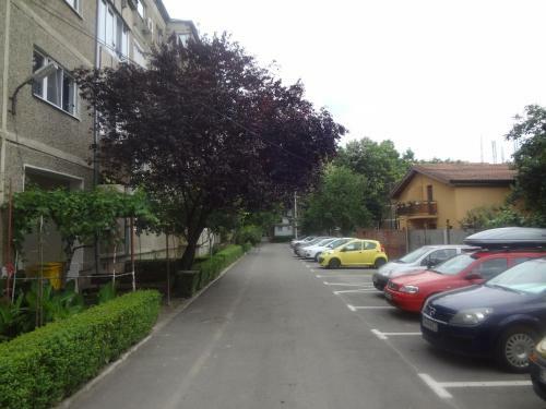 Apartament Dan