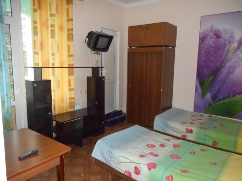 Hostal Zelyonyye Fonariki Guest House
