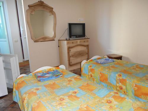 Hostal Zelyonyye Fonariki Guest House