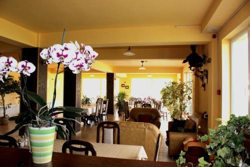 Hostal Vila Carlos