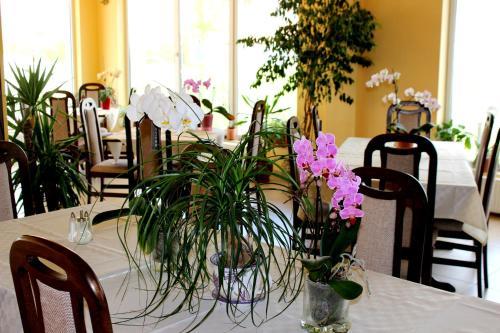 Hostal Vila Carlos