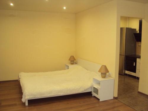 Apartment Vip Center On Kommuny 16
