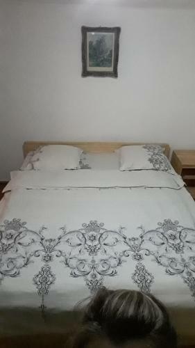 Lodge Cabana Din Varf