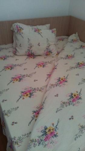 Hostal Casa Noastra