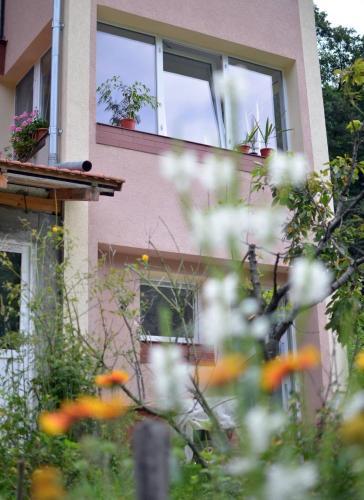 Hostal Casa Noastra