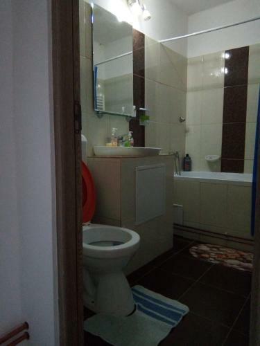 Central Apartment 2