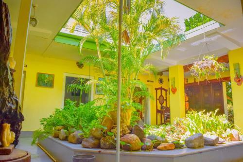 Hostal Shammie Guest House