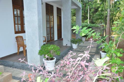 Hostal Summerland Residence