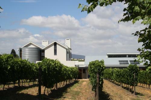 Agroturismo Laibach Vineyards