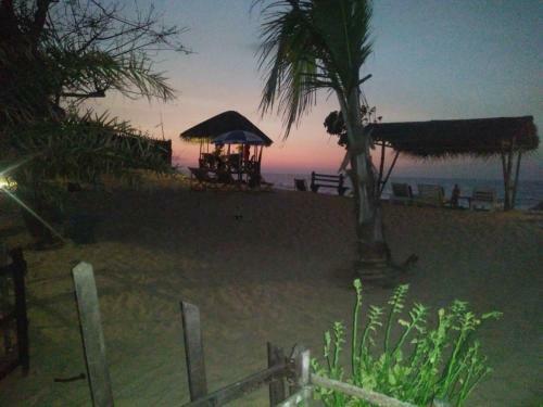 Hotel Ocean View Beach Resort - Kalpitiya