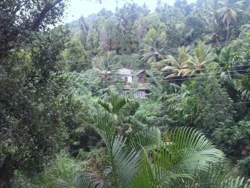 Greenwood Kandy Homestay