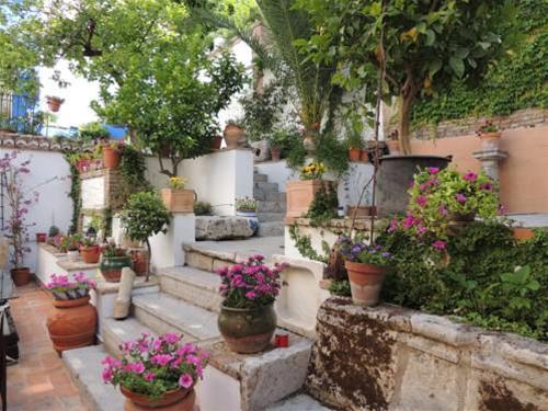 Bed & Breakfast Carmen Del Cobertizo