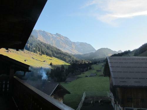 Apartment Gilbachh�ckli 2