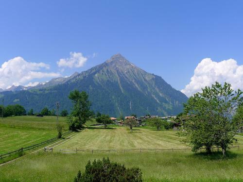 Chalet Panoramablick