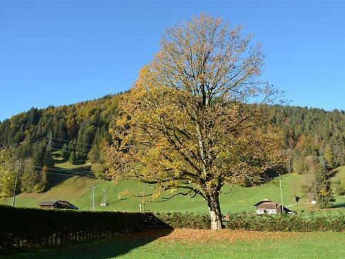 Apartamento Oberland Nr. 9 (neu Oberland Nr. 3)